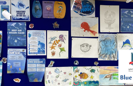 "Al Hamraa International Schools - Blue Schools Initiative"